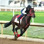 Sensational Saudi Cup: Forever Young Edges Romantic Warrior