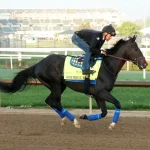 Sensational Saudi Cup: Forever Young Edges Romantic Warrior