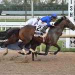 Sensational Saudi Cup: Forever Young Edges Romantic Warrior