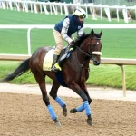 Sensational Saudi Cup: Forever Young Edges Romantic Warrior