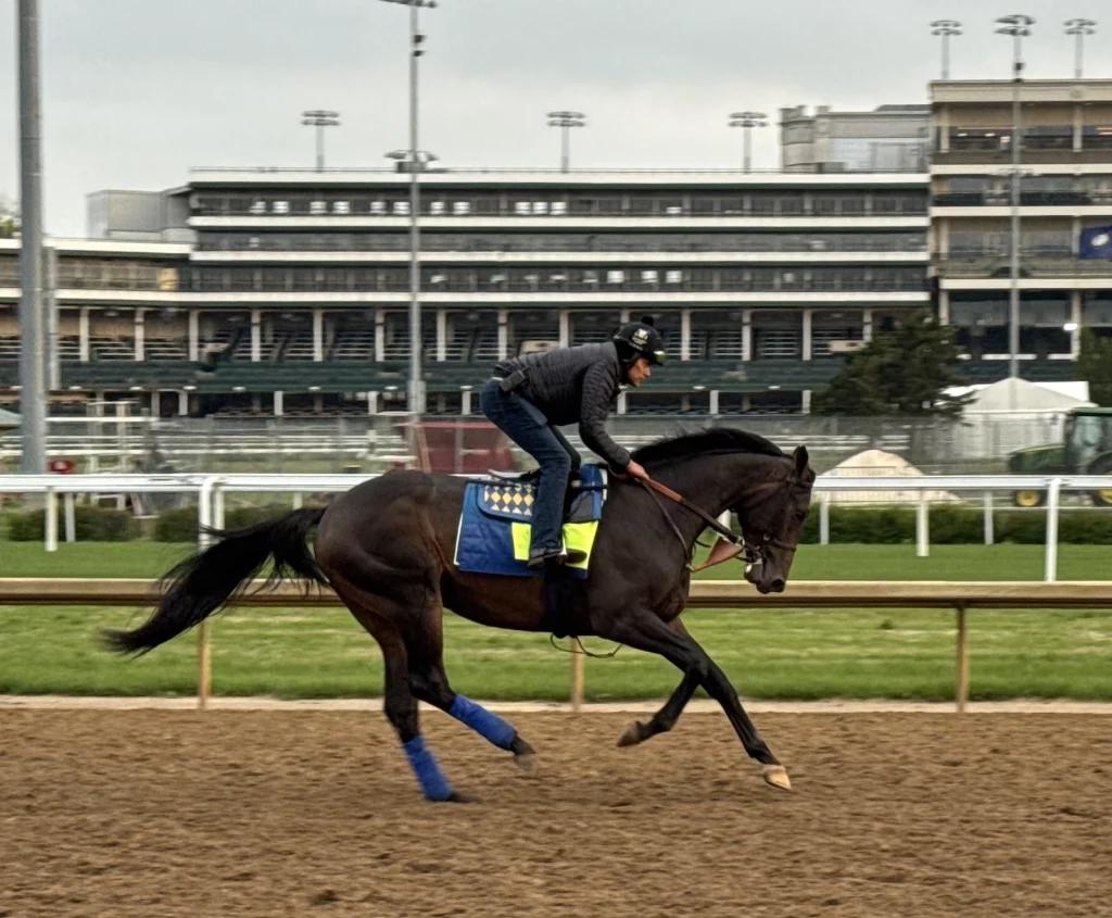 Stay ahead with US Racing—Award-winning Preakness Stakes Betting odds & more.