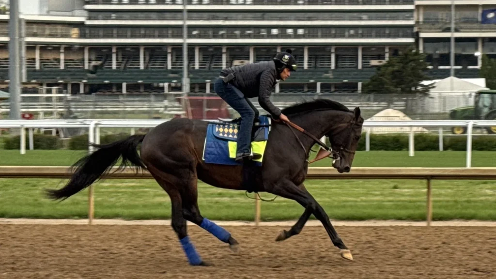 Preakness Stakes Contender: Post position: 1, Odds: 6/1, Jockey: F. Prat, Trainer: B. Baffert. Bet on Preakness Stakes Betting Odds & more.