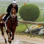 Sensational Saudi Cup: Forever Young Edges Romantic Warrior