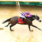 Sensational Saudi Cup: Forever Young Edges Romantic Warrior