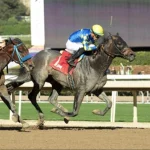 Sensational Saudi Cup: Forever Young Edges Romantic Warrior