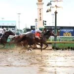Sensational Saudi Cup: Forever Young Edges Romantic Warrior