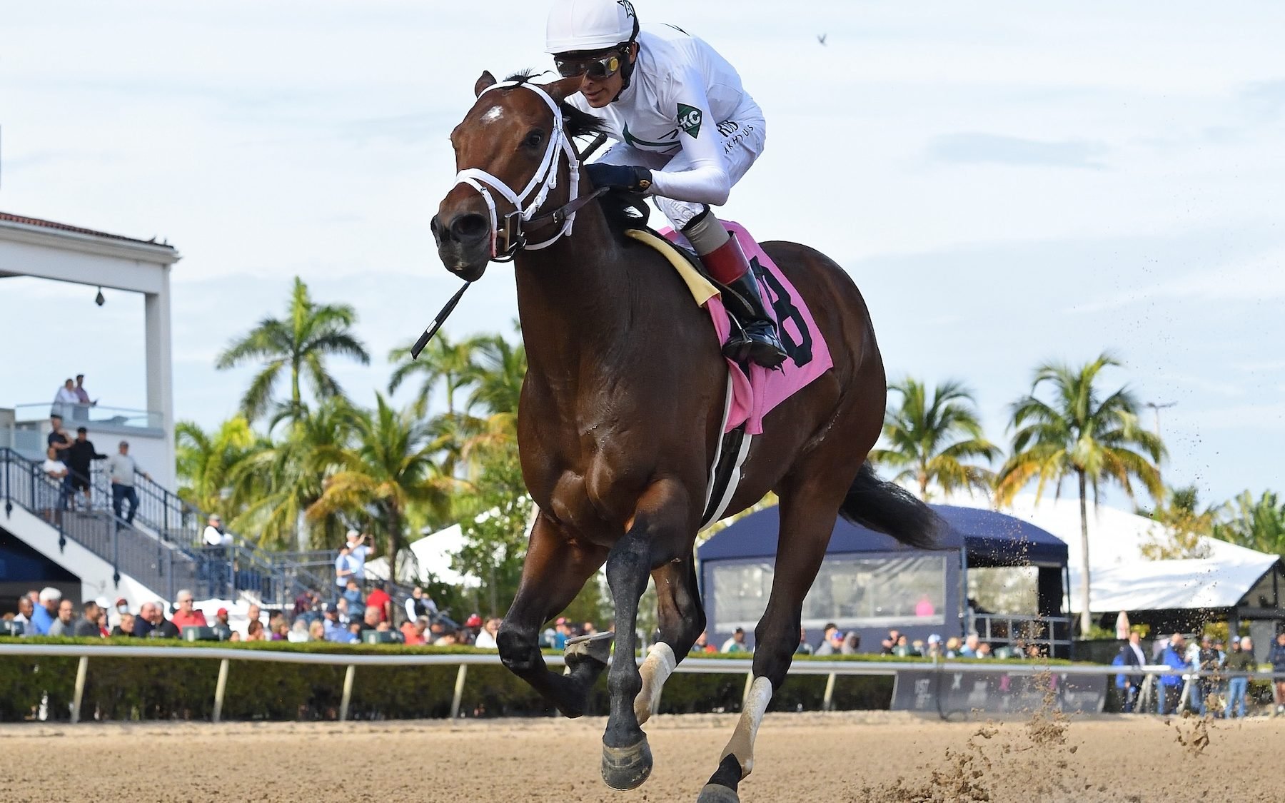 Preakness Stakes Betting Contender River Thames: Post Position: TBD, Odds: TBD, Jockey: Irad Ortiz, Jr., Trainer: Todd Pletcher