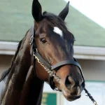 Sensational Saudi Cup: Forever Young Edges Romantic Warrior