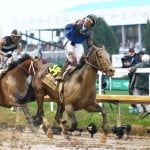 Sensational Saudi Cup: Forever Young Edges Romantic Warrior