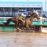 Sensational Saudi Cup: Forever Young Edges Romantic Warrior