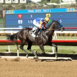 Sensational Saudi Cup: Forever Young Edges Romantic Warrior
