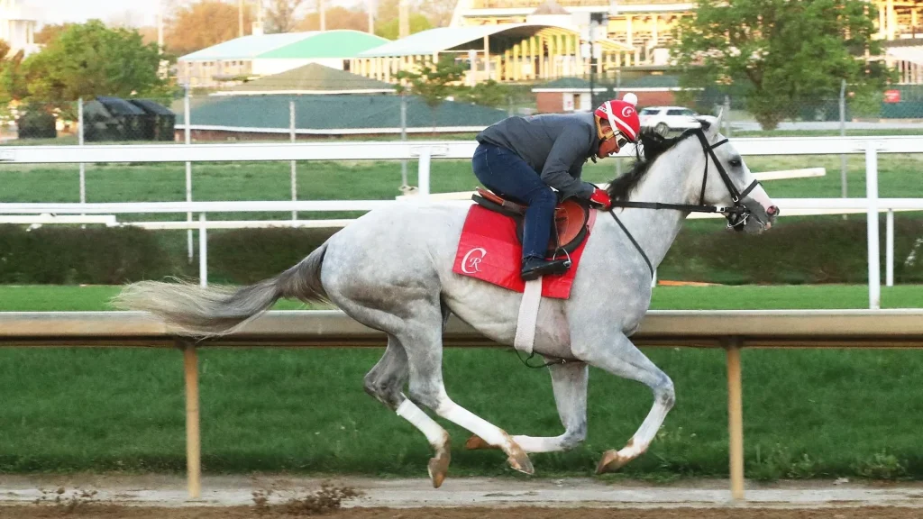 Preakness Stakes Betting Contender Sandman: Post Position: 7, Odds: 4/1, Jockey: John Velasquez, Trainer: Mark Casse