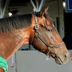 Sensational Saudi Cup: Forever Young Edges Romantic Warrior