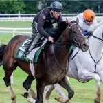 Sensational Saudi Cup: Forever Young Edges Romantic Warrior