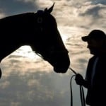 Sensational Saudi Cup: Forever Young Edges Romantic Warrior