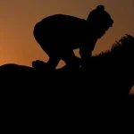 Sensational Saudi Cup: Forever Young Edges Romantic Warrior