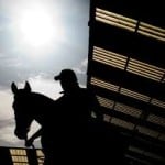 Sensational Saudi Cup: Forever Young Edges Romantic Warrior