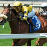 Sensational Saudi Cup: Forever Young Edges Romantic Warrior