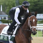 Sensational Saudi Cup: Forever Young Edges Romantic Warrior