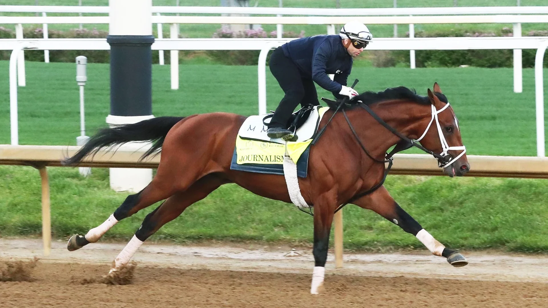 journalism horse contender