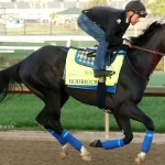 Sensational Saudi Cup: Forever Young Edges Romantic Warrior