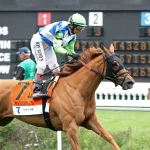 Sensational Saudi Cup: Forever Young Edges Romantic Warrior