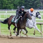 Sensational Saudi Cup: Forever Young Edges Romantic Warrior