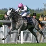 Sensational Saudi Cup: Forever Young Edges Romantic Warrior