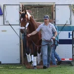 Sensational Saudi Cup: Forever Young Edges Romantic Warrior