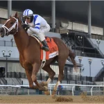 Sensational Saudi Cup: Forever Young Edges Romantic Warrior