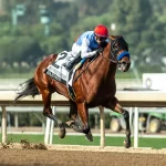 Sensational Saudi Cup: Forever Young Edges Romantic Warrior