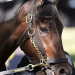 Sensational Saudi Cup: Forever Young Edges Romantic Warrior