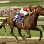 Sensational Saudi Cup: Forever Young Edges Romantic Warrior