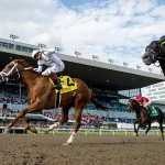 Sensational Saudi Cup: Forever Young Edges Romantic Warrior