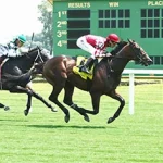 Sensational Saudi Cup: Forever Young Edges Romantic Warrior