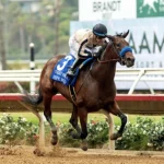 Sensational Saudi Cup: Forever Young Edges Romantic Warrior