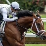 Sensational Saudi Cup: Forever Young Edges Romantic Warrior