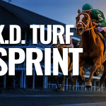 Sensational Saudi Cup: Forever Young Edges Romantic Warrior