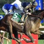 Sensational Saudi Cup: Forever Young Edges Romantic Warrior