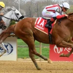 Sensational Saudi Cup: Forever Young Edges Romantic Warrior