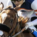 Sensational Saudi Cup: Forever Young Edges Romantic Warrior