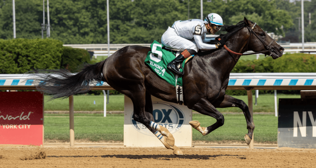 Mullikin horse contender running