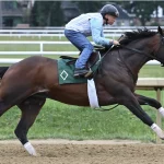Sensational Saudi Cup: Forever Young Edges Romantic Warrior