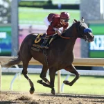 Sensational Saudi Cup: Forever Young Edges Romantic Warrior