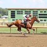 Sensational Saudi Cup: Forever Young Edges Romantic Warrior