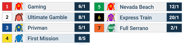 2025 Goodwood Stakes Official Odds