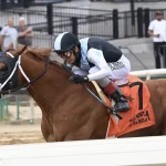 Sensational Saudi Cup: Forever Young Edges Romantic Warrior