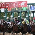 Sensational Saudi Cup: Forever Young Edges Romantic Warrior