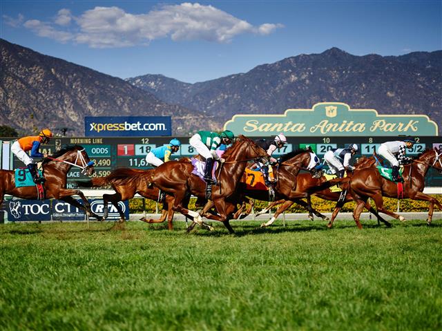 2025 Vosburgh Stakes: Horse by Horse Analysis and Expert Insights. US Racing, all you need for every race.