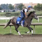 Sensational Saudi Cup: Forever Young Edges Romantic Warrior